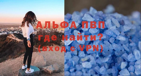 СК Алексин