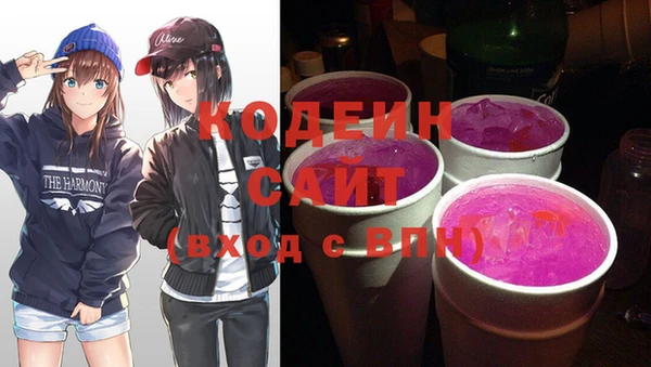 СК Алексин