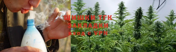 СК Алексин