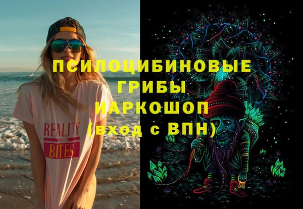 СК Алексин