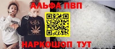шишки Гай