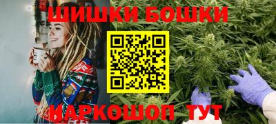 шишки Гай