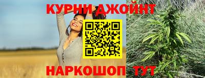 шишки Гай
