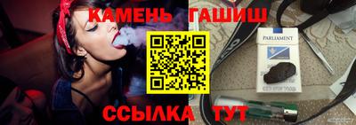 шишки Гай