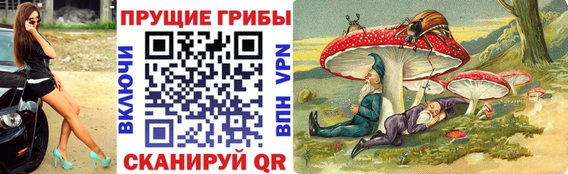 Галлюциногенные грибы прущие грибы  Муравленко 