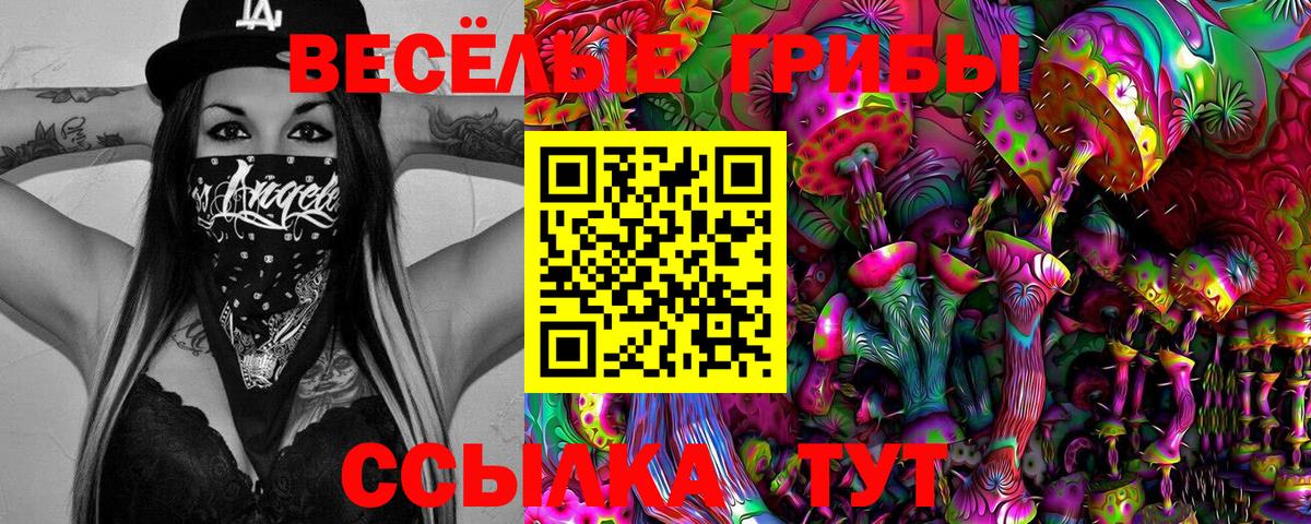 Галлюциногенные грибы Cubensis Муравленко