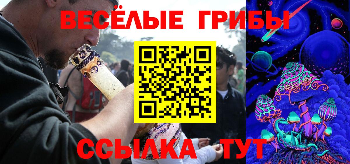 Галлюциногенные грибы ЛСД  Галлюциногенные грибы Psilocybine cubensis  Вход с VPN  купить наркоту  Муравленко 